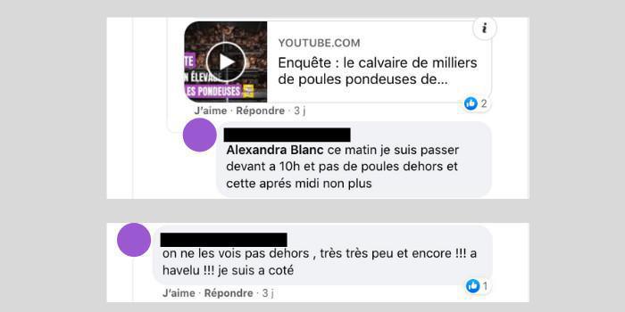 Poulailler d'Havelu, pour en finir avec l'hypocrisie du Bien-Être animal. Poulailler d'Havelu, pour en finir avec l'hypocrisie du Bien-Être animal.
