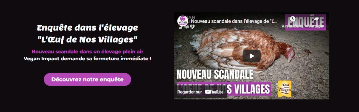 Poulailler d'Havelu, pour en finir avec l'hypocrisie du Bien-Être animal. Poulailler d'Havelu, pour en finir avec l'hypocrisie du Bien-Être animal.