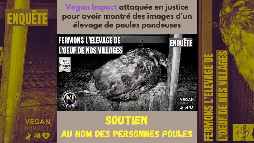 Au nom des personnes Poules Au nom des personnes Poules