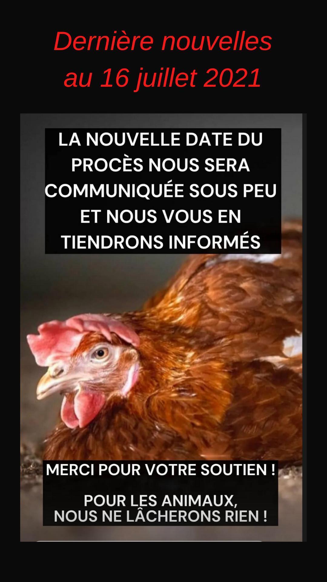 Vegan Impact attaquée en justice Vegan Impact attaquée en justice