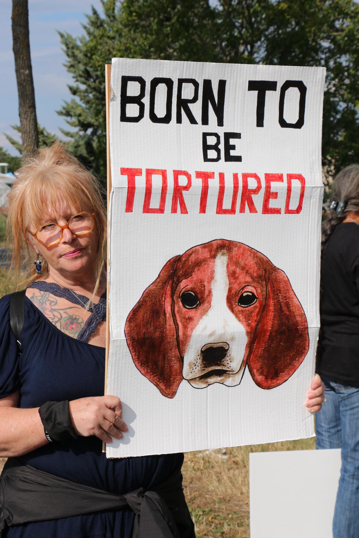 Free the MBR Beagles France - Gannat J1 Free the MBR Beagles France - Gannat J1