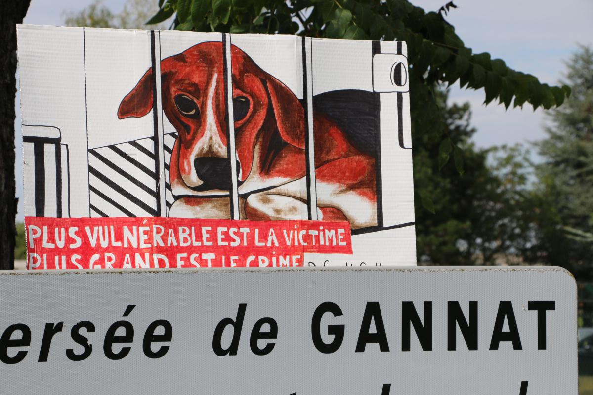 Free the MBR Beagles France - Gannat J1