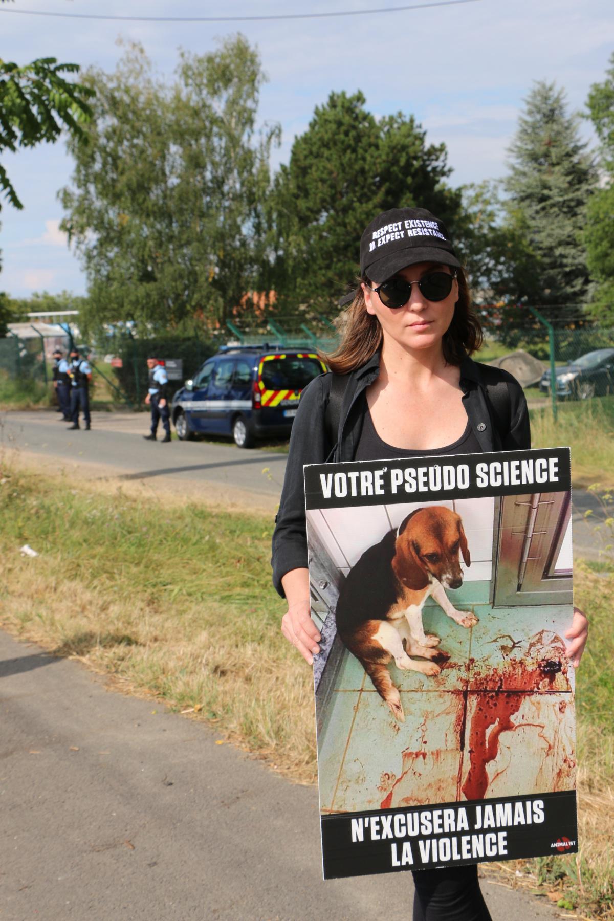 Free the MBR Beagles France - Gannat J1 Free the MBR Beagles France - Gannat J1