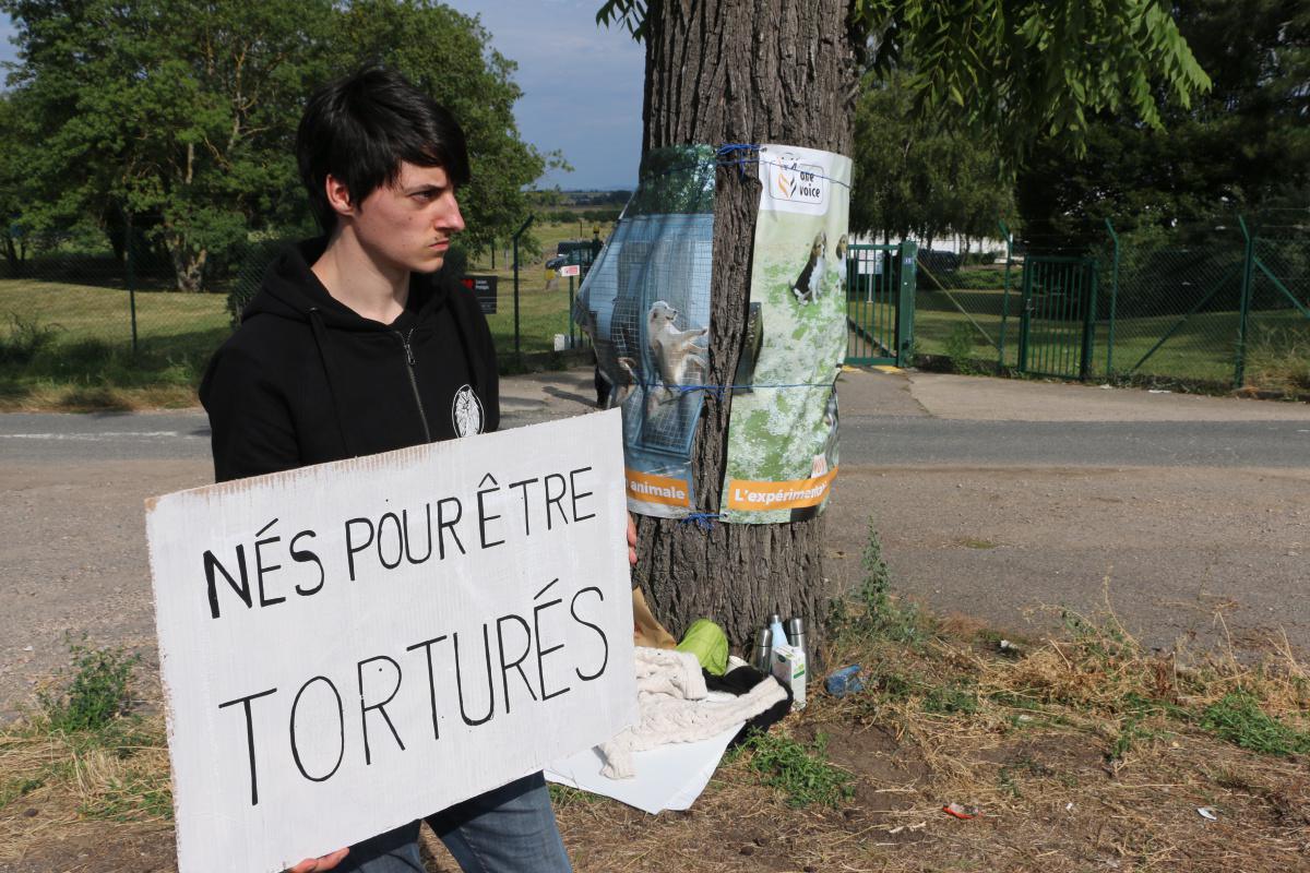 Free the MBR Beagles France - Gannat J1 Free the MBR Beagles France - Gannat J1