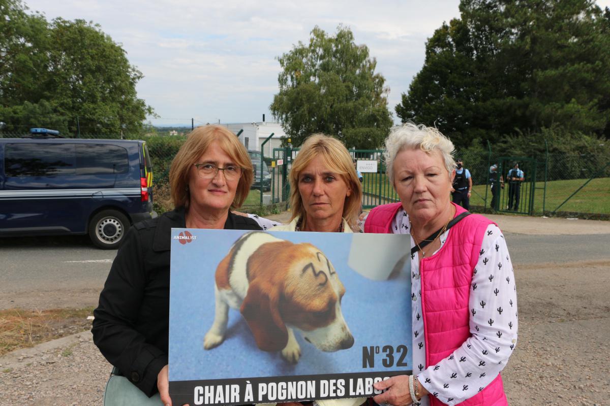 Free the MBR Beagles France - Gannat J1 Free the MBR Beagles France - Gannat J1
