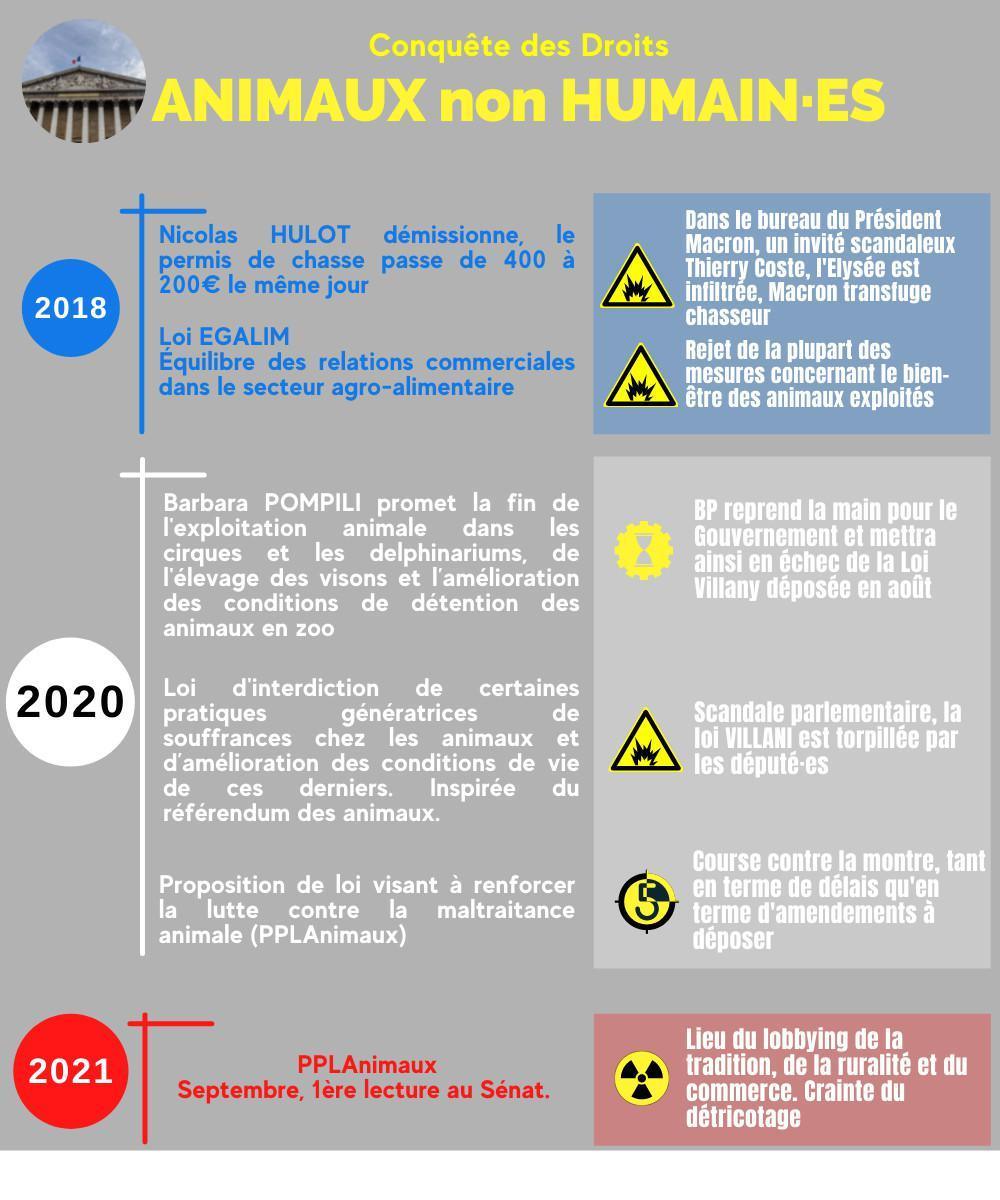 Loi contre la maltraitance animale Loi contre la maltraitance animale