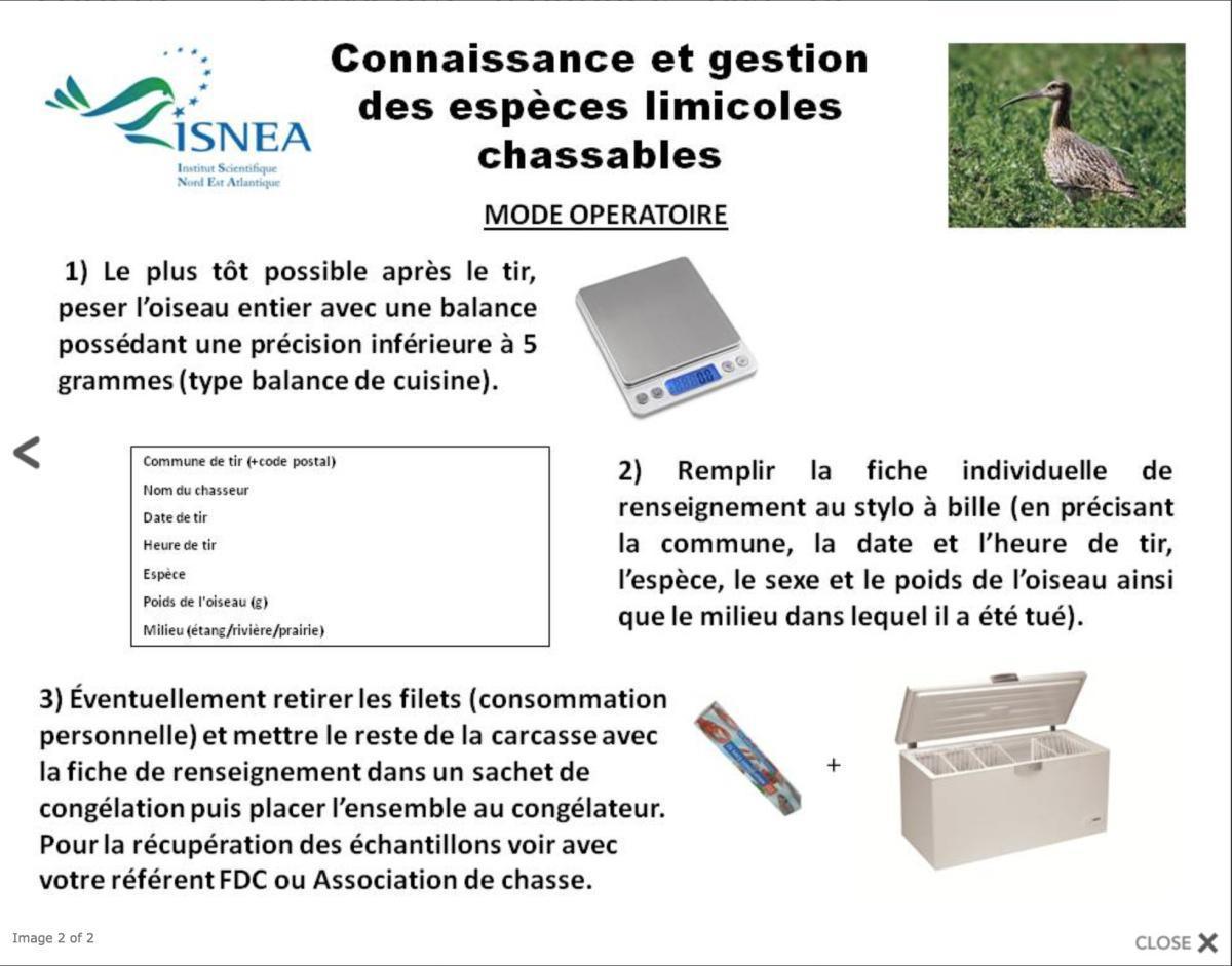 Loi contre la maltraitance animale Loi contre la maltraitance animale