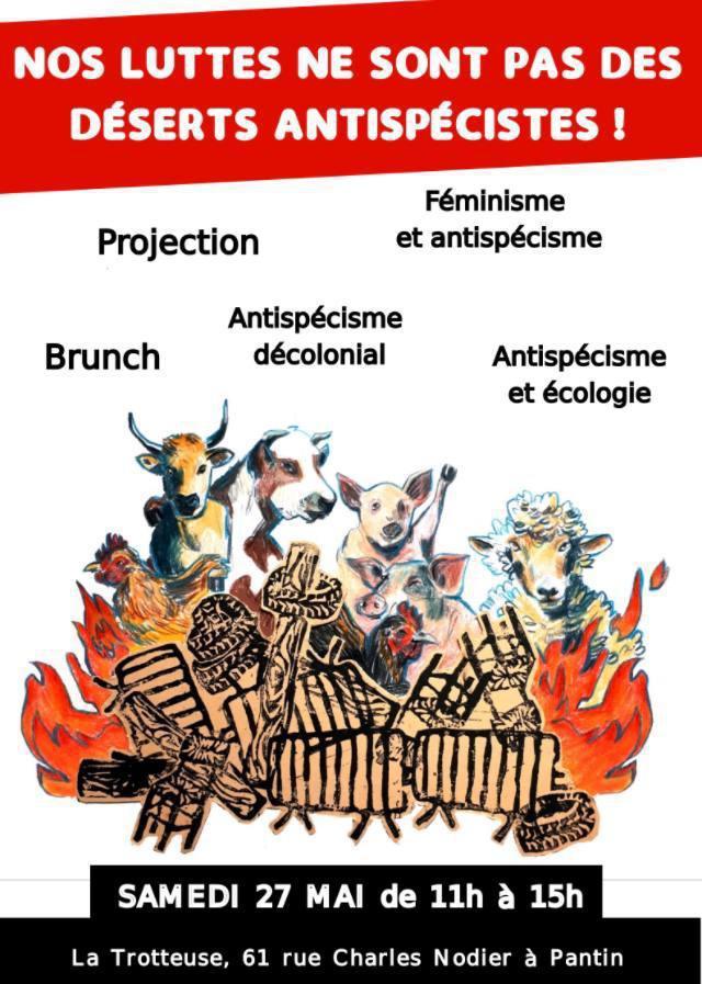Nos luttes ne sont pas des déserts antispécistes Nos luttes ne sont pas des déserts antispécistes