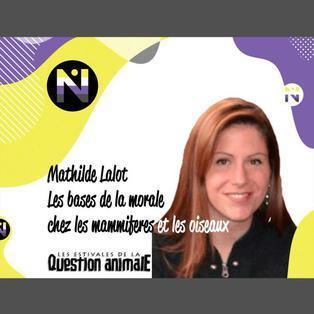 #3 Bases de la morale chez les mammifères et les oiseaux