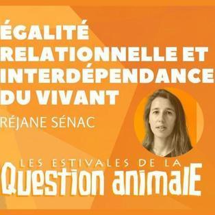 Égalité relationnelle et interdépendance du vivant #2
