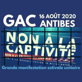 Rassemblement Unitaire Anticaptivité - GAC