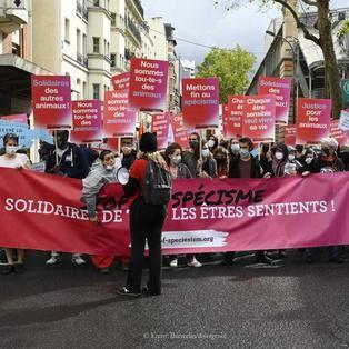 Politisation victorieuse de la lutte antispéciste - JMFS 2020
