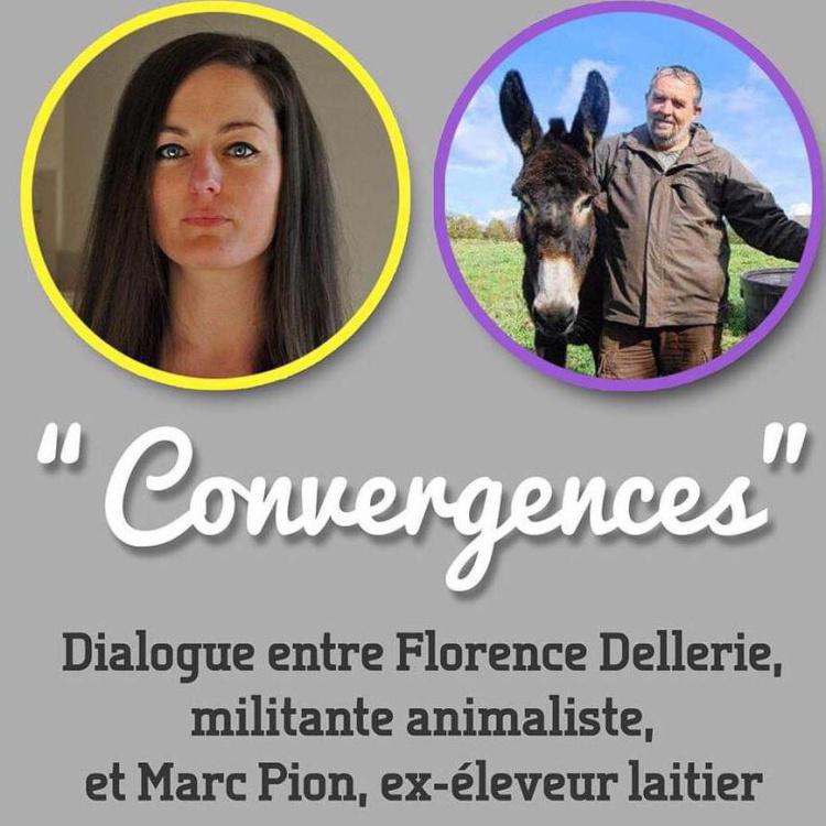 Convergences