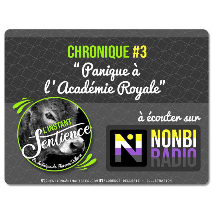 Panique à l'Académie Royale - #3