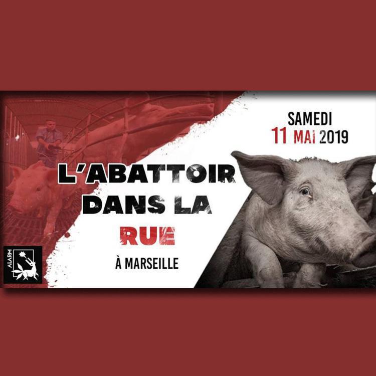 L'abattoir dans la rue #1