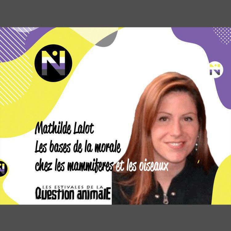 #2 Bases de la morale chez les mammifères et les oiseaux