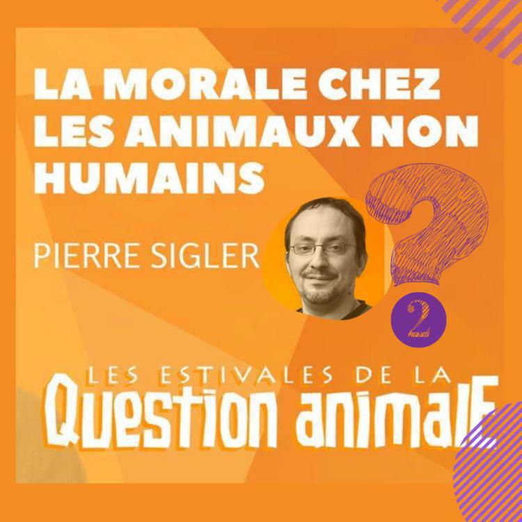 La morale chez les animaux non humains #2