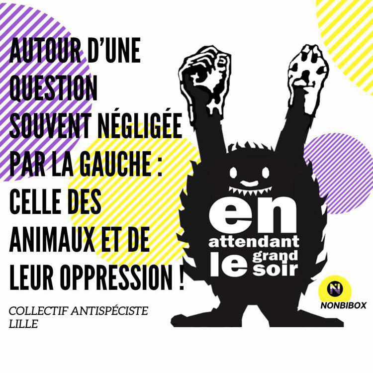La place des animaux dans nos luttes politiques
