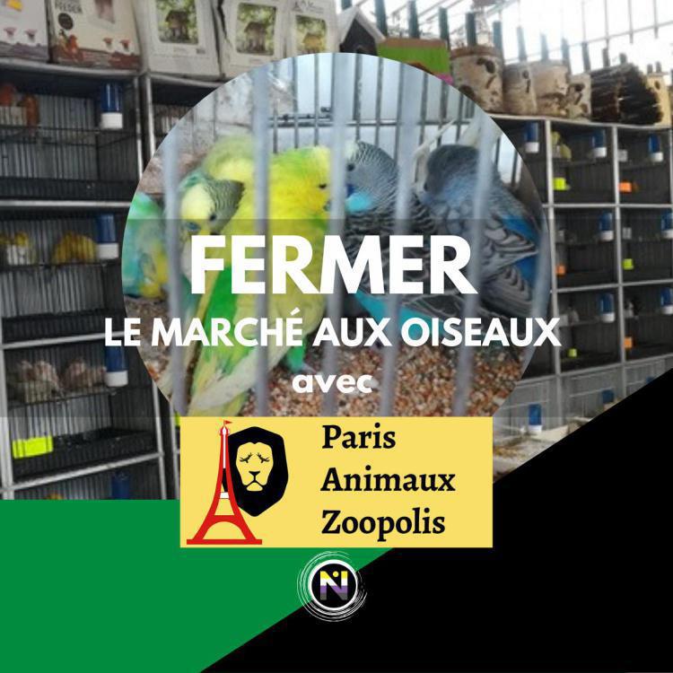 FERMER le MARCHÉ aux OISEAUX de PARIS