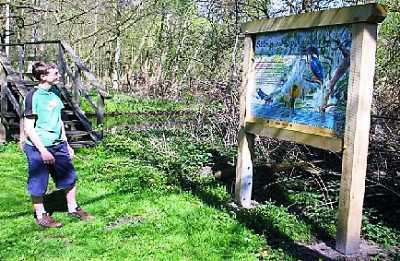 Innerörtlicher Fuß- und Radweg Innerörtlicher Fuß- und Radweg