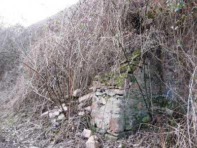 Friedhofsmauer & Böschung Friedhofsmauer & Böschung