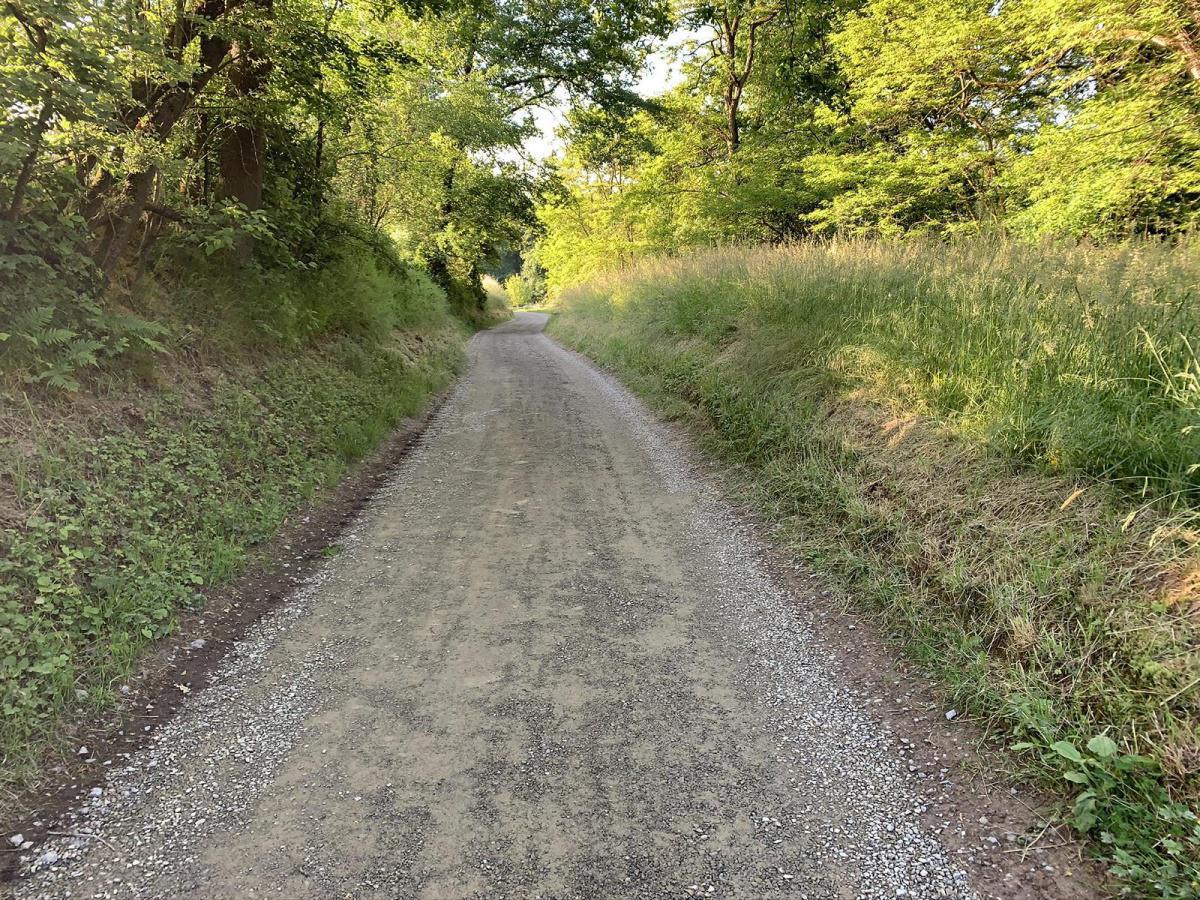 Rad- und Flurwege saniert Rad- und Flurwege saniert