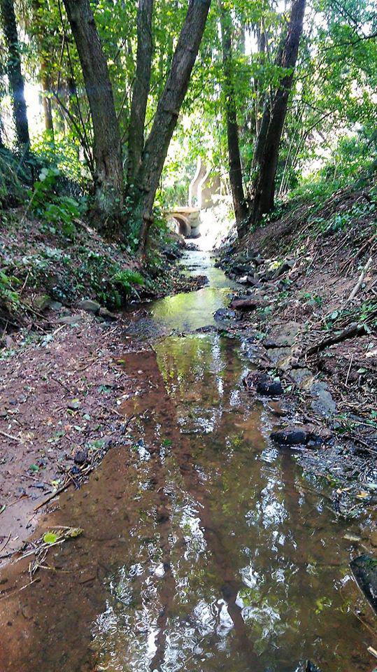 Wasserentnahmen aus Gewässern Wasserentnahmen aus Gewässern