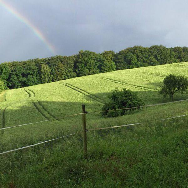 Regenbogen über Krombach