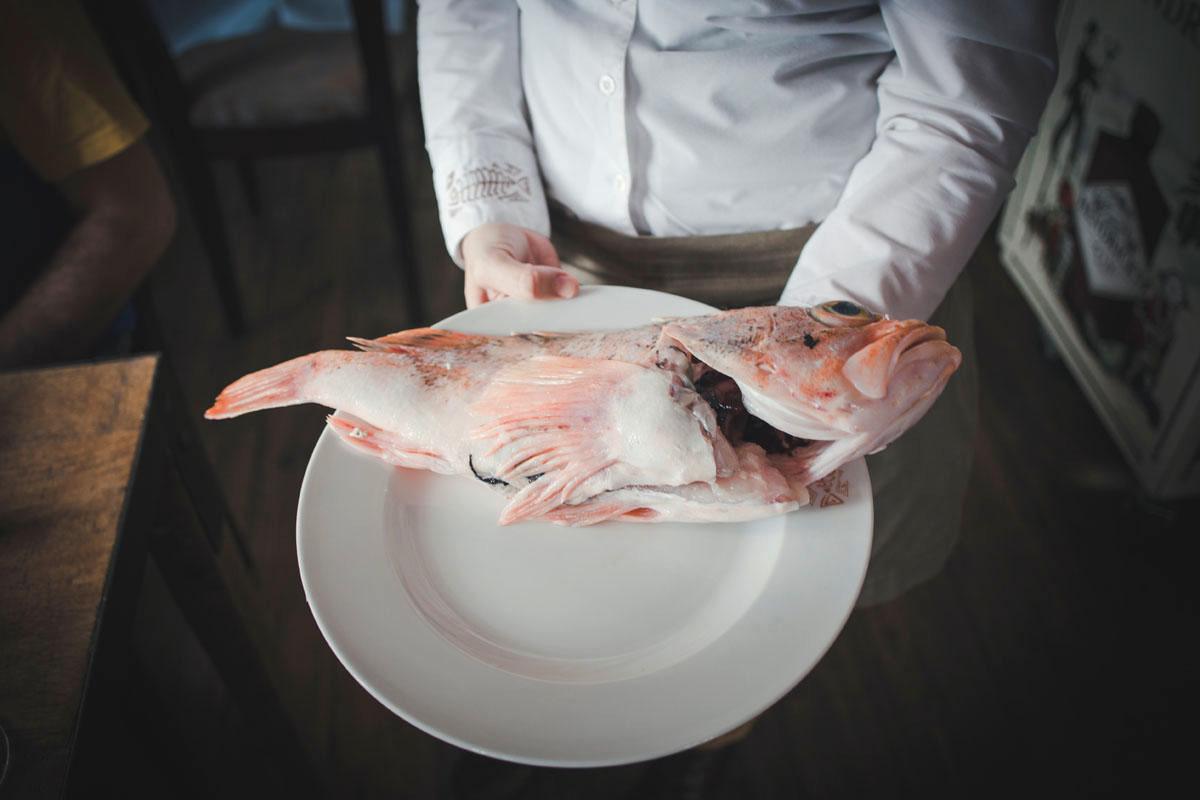 La posada del pez La posada del pez