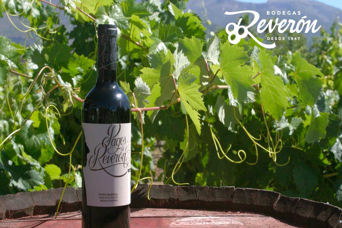 Bodegas Reverón Bodegas Reverón