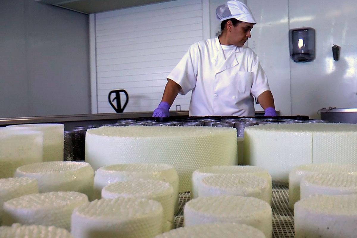 Visita y cata en la Quesería Montesdeoca Visita y cata en la Quesería Montesdeoca