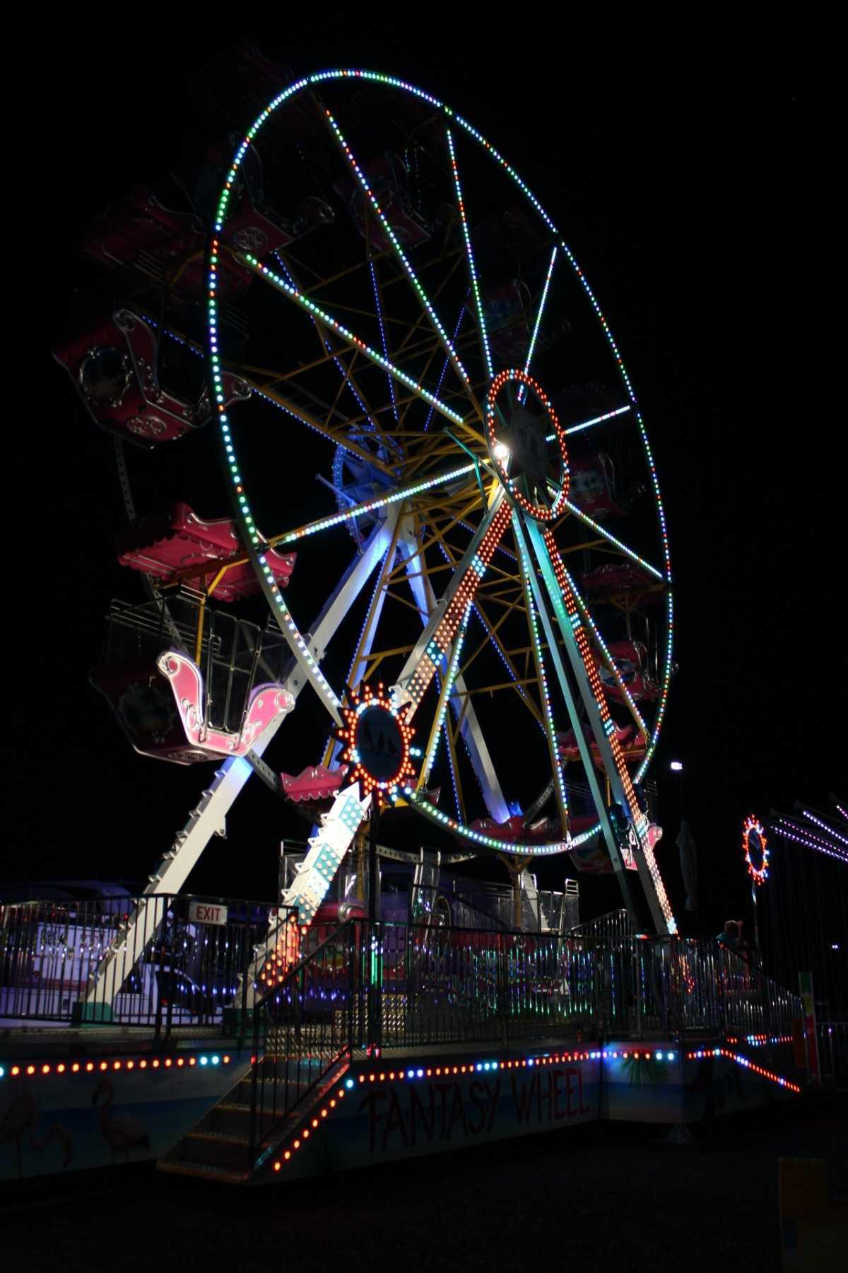 About the Fair