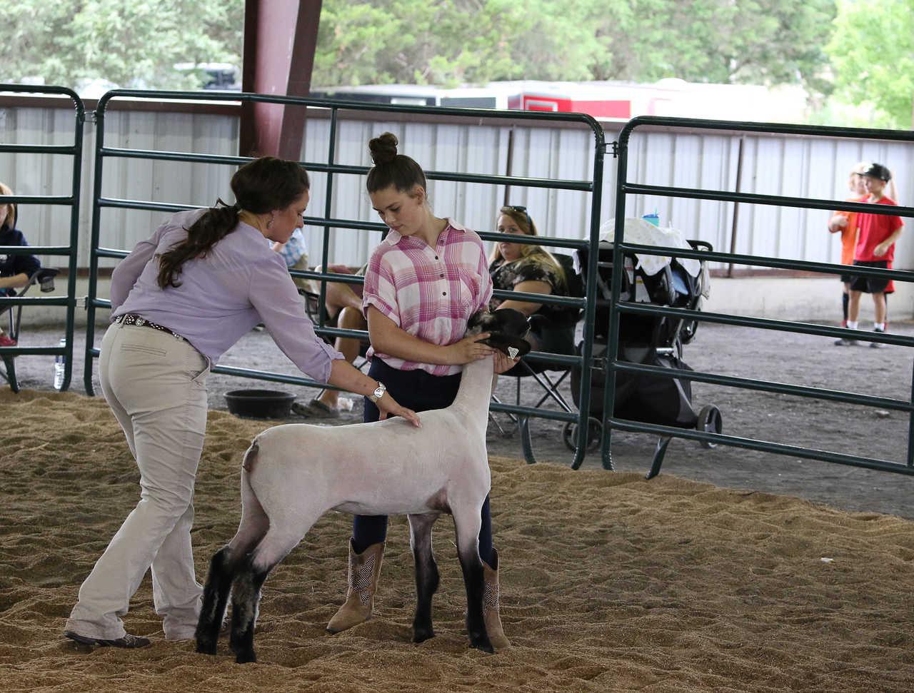 Warren County Va Fair 2025 Events