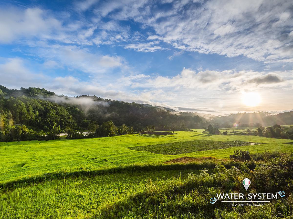 La normalità al tempo del Corona Virus La normalità al tempo del Corona Virus