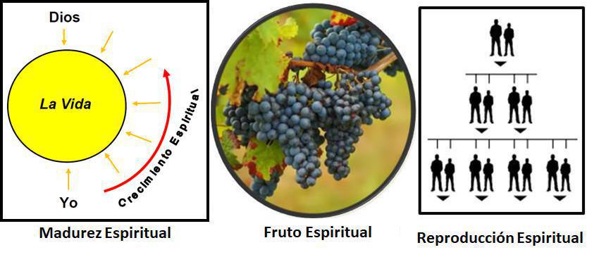 ¿Es Usted Nuevo en DTI? Empiece aquí ¿Es Usted Nuevo en DTI? Empiece aquí