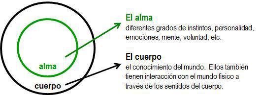 1-4 La Anatomía del Ser Humano 1-4 La Anatomía del Ser Humano