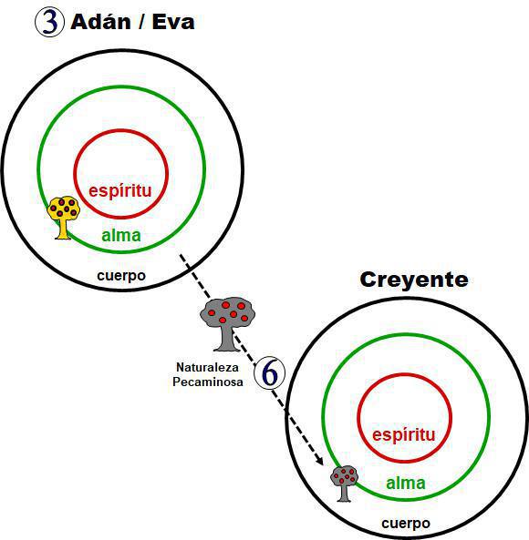 1-5 La Naturaleza Divina y La Naturaleza Humana 1-5 La Naturaleza Divina y La Naturaleza Humana