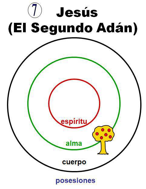 1-5 La Naturaleza Divina y La Naturaleza Humana 1-5 La Naturaleza Divina y La Naturaleza Humana