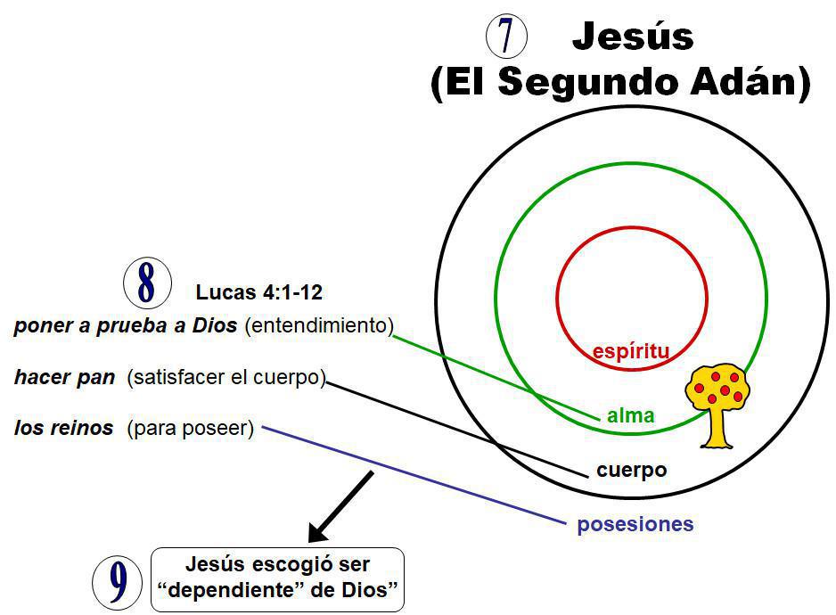 1-5 La Naturaleza Divina y La Naturaleza Humana 1-5 La Naturaleza Divina y La Naturaleza Humana