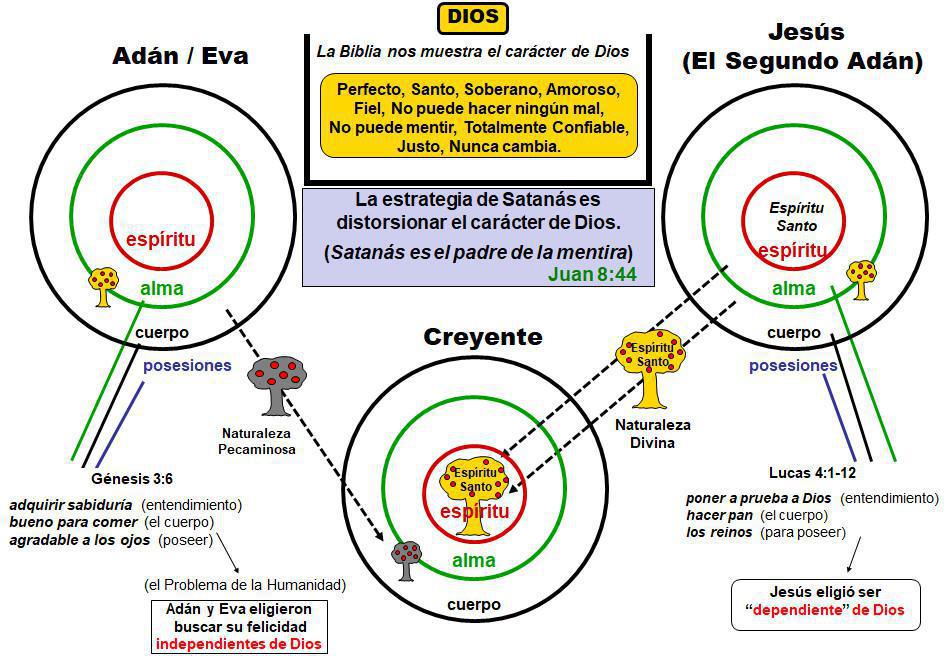1-5 La Naturaleza Divina y La Naturaleza Humana 1-5 La Naturaleza Divina y La Naturaleza Humana