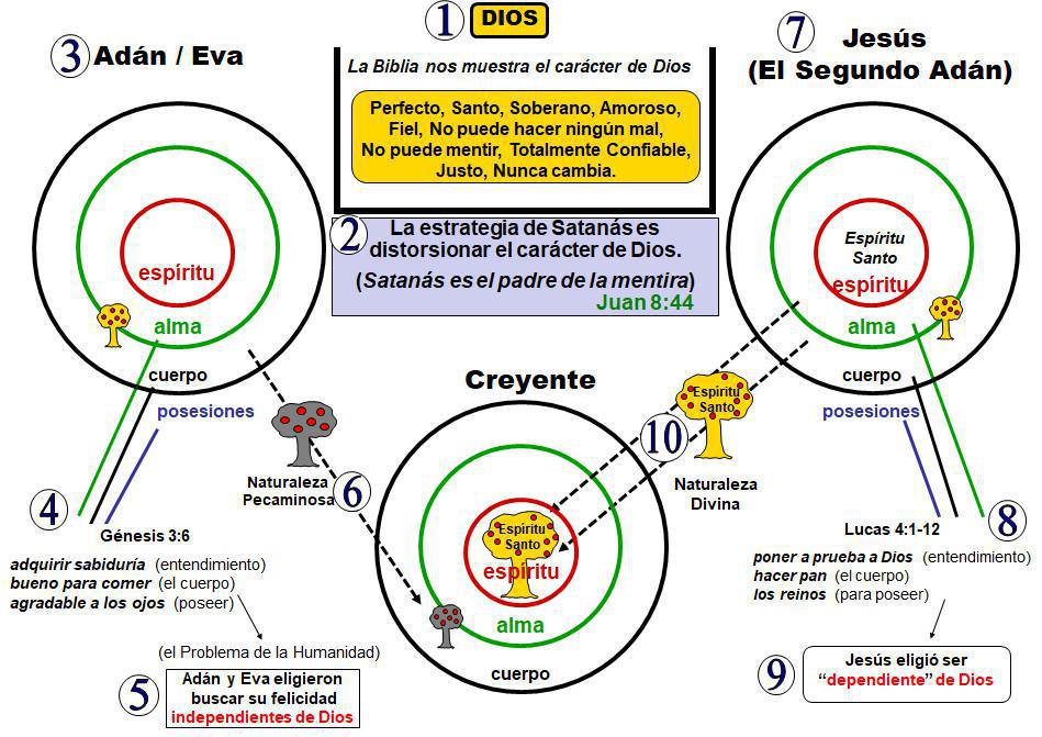1-5 La Naturaleza Divina y La Naturaleza Humana 1-5 La Naturaleza Divina y La Naturaleza Humana