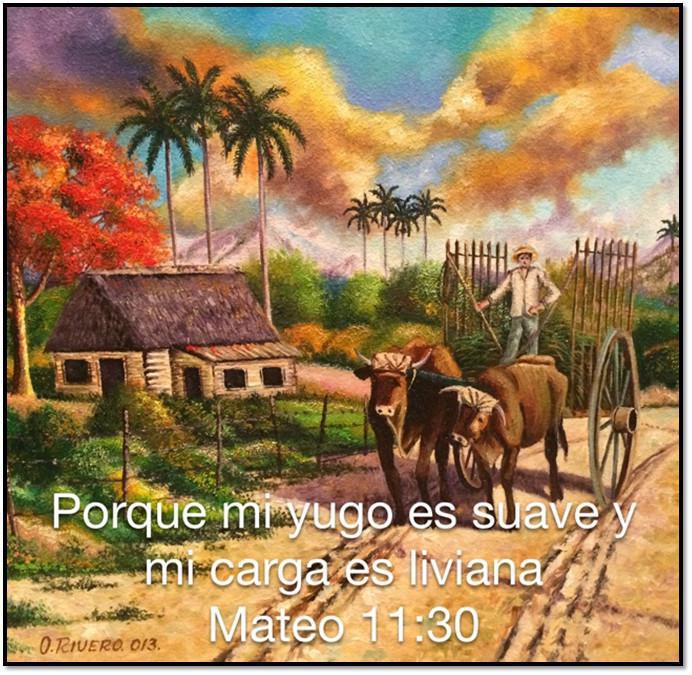 1-7 El Desarrollo Normal de un Creyente 1-7 El Desarrollo Normal de un Creyente