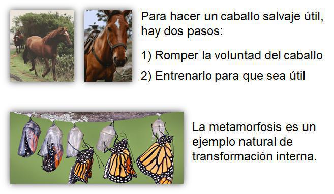 1-7 El Desarrollo Normal de un Creyente 1-7 El Desarrollo Normal de un Creyente