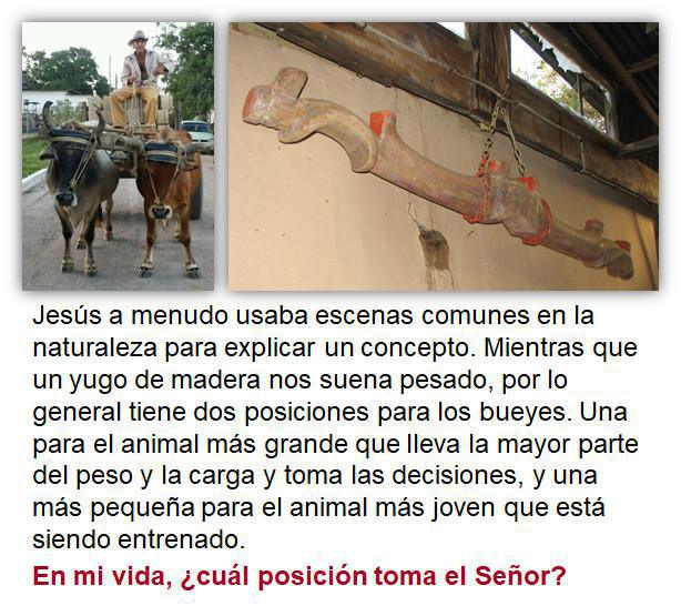 1-7 El Desarrollo Normal de un Creyente 1-7 El Desarrollo Normal de un Creyente