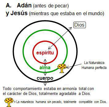 1-8 Repaso de Mis Dos Naturalezas 1-8 Repaso de Mis Dos Naturalezas