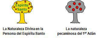 1-8 Repaso de Mis Dos Naturalezas 1-8 Repaso de Mis Dos Naturalezas
