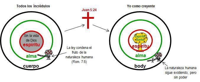 1-8 Repaso de Mis Dos Naturalezas 1-8 Repaso de Mis Dos Naturalezas