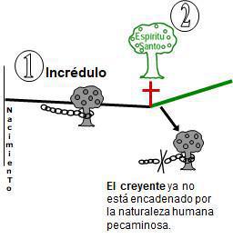 1-12 El Vivir Diariamente en Armonía con el Señor 1-12 El Vivir Diariamente en Armonía con el Señor