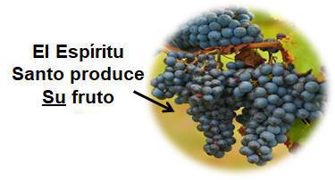1-13 Las Tres Etapas Principales de la Vida Cristiana Normal 1-13 Las Tres Etapas Principales de la Vida Cristiana Normal