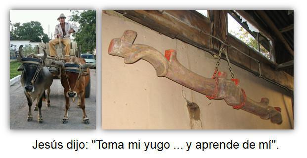 1-13 Las Tres Etapas Principales de la Vida Cristiana Normal 1-13 Las Tres Etapas Principales de la Vida Cristiana Normal